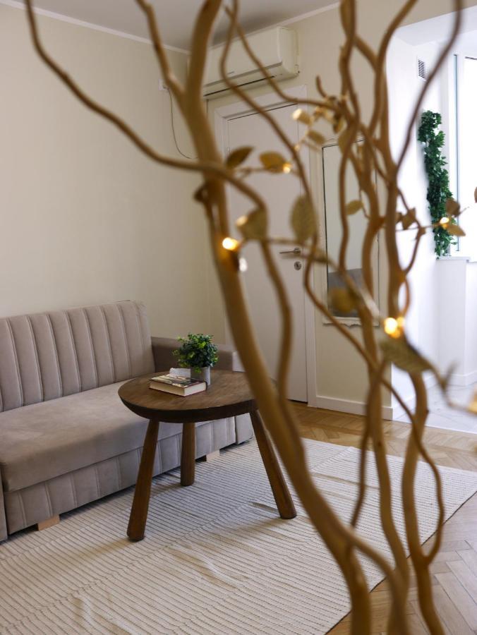 Mina City Center Apartment Amzei Букурещ Екстериор снимка
