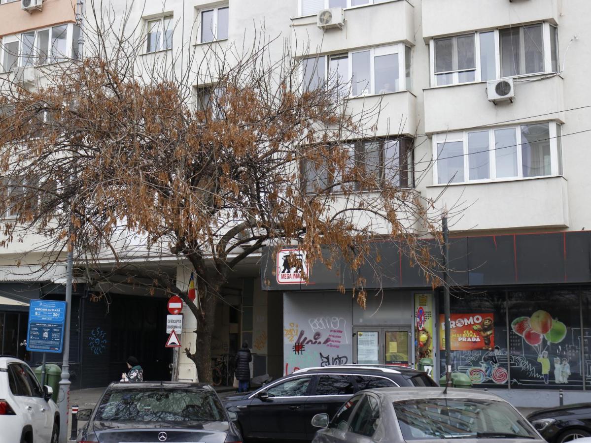 Mina City Center Apartment Amzei Букурещ Екстериор снимка